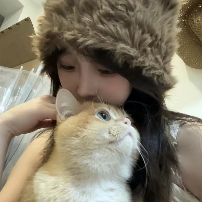 失忆的总理大臣